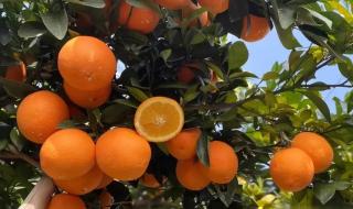 水浒传蚂蚁庄园 水浒传蚂蚁庄园