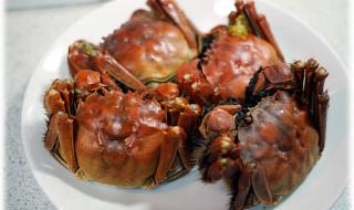 蟹不肉是什么意思 蟹不肉是什么意思