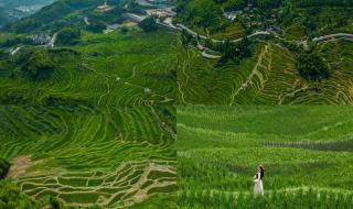 这世间车水马龙 这世间车水马龙