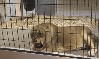 一生只爱你一次歌曲 一生只爱你一次歌曲