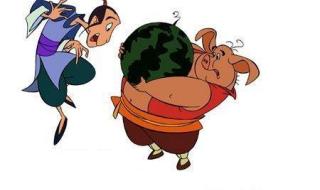 天上掉下一个猪八戒 天上掉下一个猪八戒