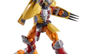 战斗暴龙兽玩具 战斗暴龙兽玩具