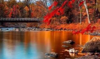 烟雨故人来 烟雨故人来