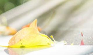 要娶就娶美羊羊 要娶就娶美羊羊