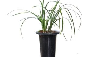 淘宝假一赔三申请 淘宝假一赔三申请