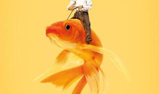 6的加法游戏 6的加法游戏