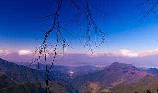 雪后的阳光 雪后的阳光