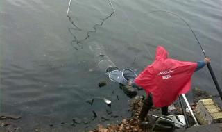 武汉钓鱼圈 武汉钓鱼圈