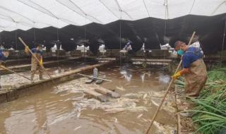 洪水退去后的涿州商家 洪水退去后的涿州商家