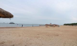 月坨岛攻略 月坨岛攻略