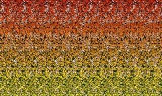 三维立体图怎么看