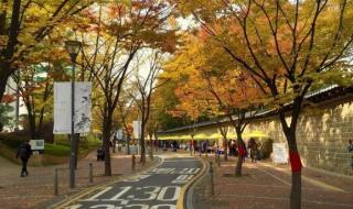 延世大学世界排名 延世大学世界排名