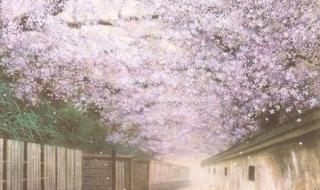 愿你三冬暖歌曲原唱 愿你三冬暖歌曲原唱