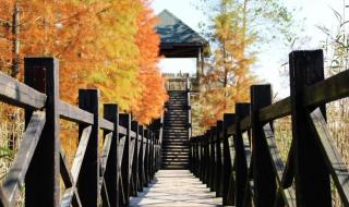 三观不合都是哪三观 三观不合都是哪三观